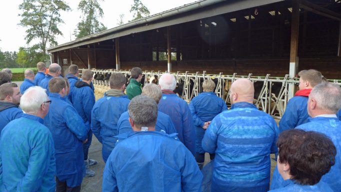 Gruppe von Menschen in blauen Jacken vor einem Stall mit Kühen.